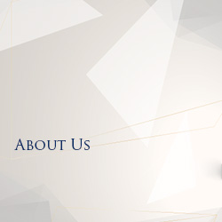 Sowparnika About Us - A glimpse into our company's values and mission